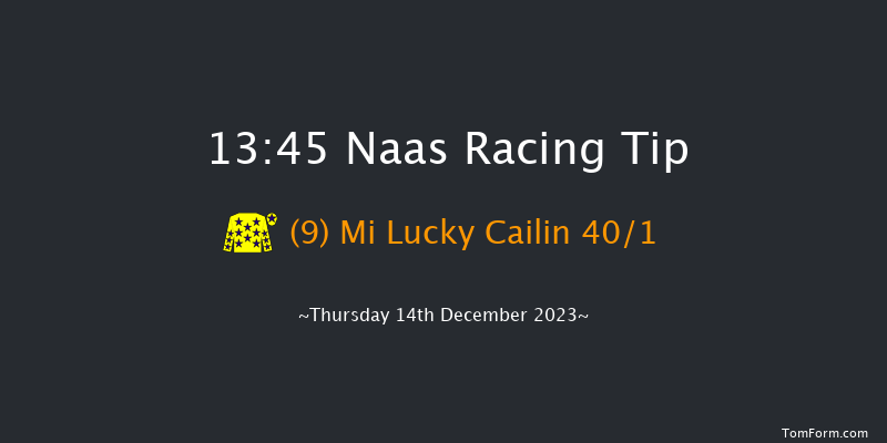 Naas 13:45 Maiden Hurdle 16f Sun 12th Nov 2023