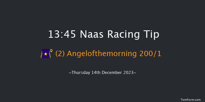 Naas 13:45 Maiden Hurdle 16f Sun 12th Nov 2023