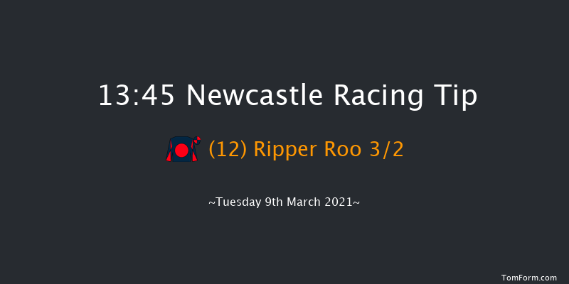 QuinnBet Novices' Hurdle (GBB Race) Newcastle 13:45 Maiden Hurdle (Class 4) 20f Fri 5th Mar 2021