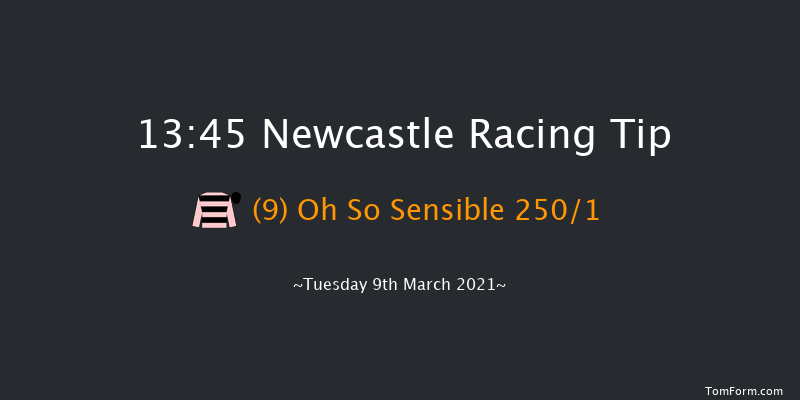 QuinnBet Novices' Hurdle (GBB Race) Newcastle 13:45 Maiden Hurdle (Class 4) 20f Fri 5th Mar 2021