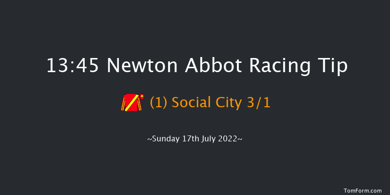 Newton Abbot 13:45 Handicap Hurdle (Class 5) 17f Mon 11th Jul 2022