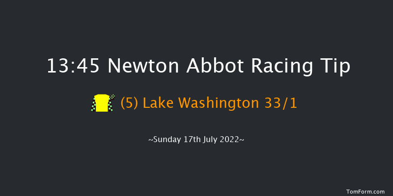 Newton Abbot 13:45 Handicap Hurdle (Class 5) 17f Mon 11th Jul 2022