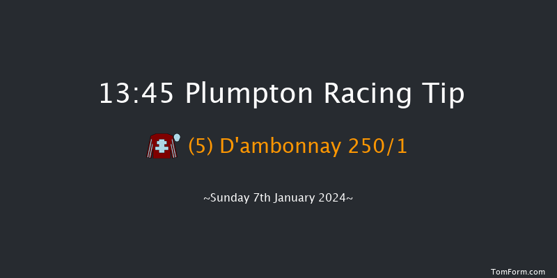 Plumpton 13:45 Novices Hurdle (Class 3) 20f Mon 18th Dec 2023