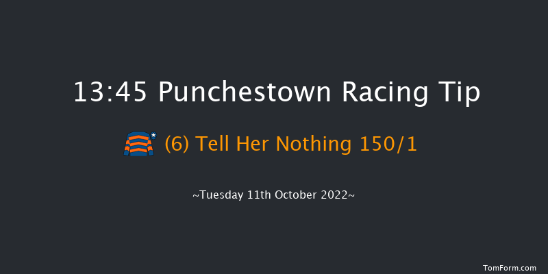 Punchestown 13:45 Conditions Hurdle 16f Tue 13th Sep 2022