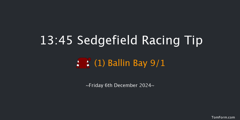 Sedgefield  13:45 Handicap Chase (Class 5) 26f Tue 26th Nov 2024