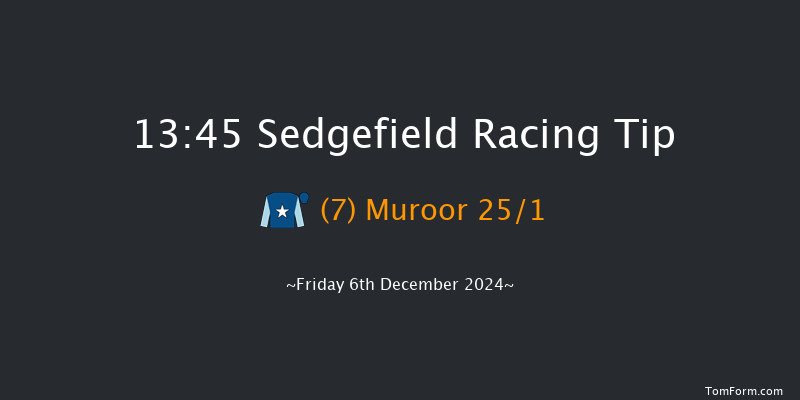 Sedgefield  13:45 Handicap Chase (Class 5) 26f Tue 26th Nov 2024