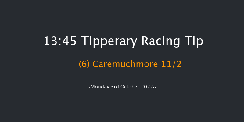 Tipperary 13:45 Maiden Hurdle 16f Sun 2nd Oct 2022