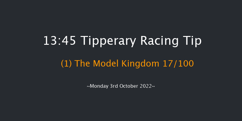 Tipperary 13:45 Maiden Hurdle 16f Sun 2nd Oct 2022