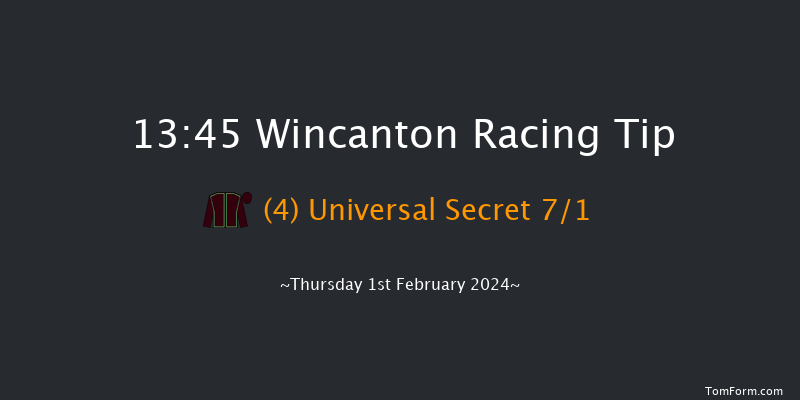 Wincanton  13:45 Handicap Hurdle (Class 5)
20f Fri 12th Jan 2024