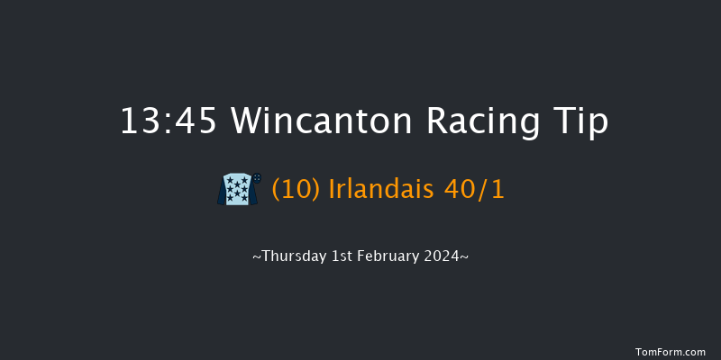 Wincanton  13:45 Handicap Hurdle (Class 5)
20f Fri 12th Jan 2024