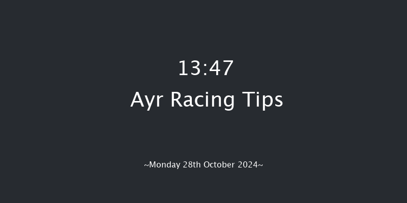 Ayr  13:47 Handicap Hurdle (Class 5) 24f Thu 10th Oct 2024