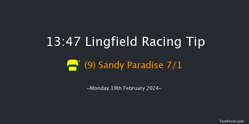 Lingfield  13:47 Handicap (Class 4) 8f Tue 13th Feb 2024