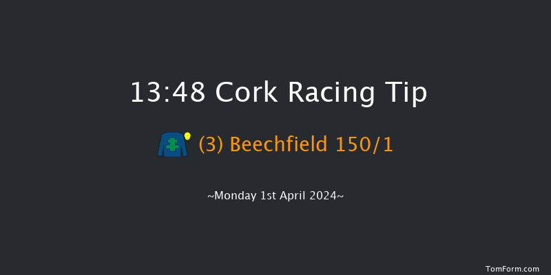 Cork  13:48 Maiden Hurdle 24f Sun 31st Mar 2024