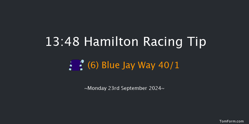 Hamilton  13:48 Handicap (Class 6) 8f Sun 22nd Sep 2024