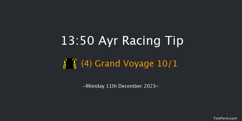 Ayr 13:50 Handicap Hurdle (Class 3) 20f Mon 4th Dec 2023