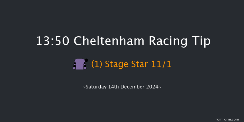 Cheltenham  13:50 Handicap Chase (Class 1) 21f Fri 13th Dec 2024