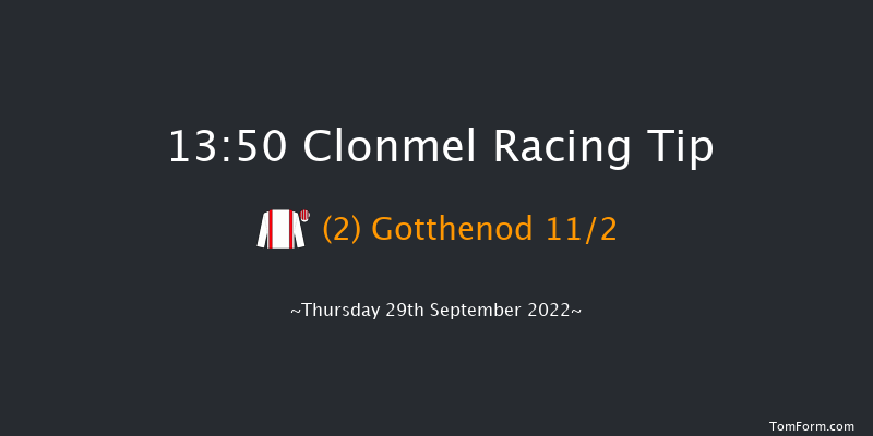 Clonmel 13:50 Handicap Hurdle 20f Thu 1st Sep 2022