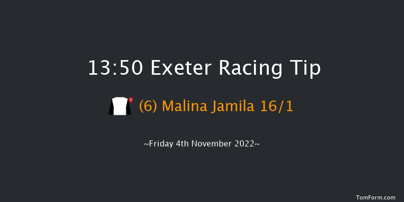 Exeter 13:50 Handicap Hurdle (Class 4) 22f Tue 18th Oct 2022