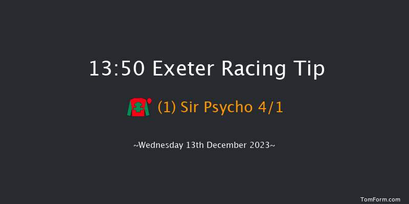 Exeter 13:50 Handicap Chase (Class 3) 19f Sun 26th Nov 2023