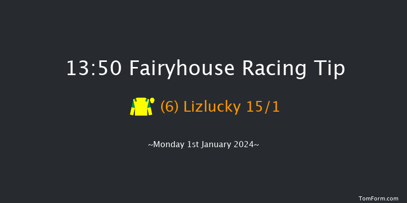 Fairyhouse 13:50 Handicap Hurdle 24f Sat 16th Dec 2023