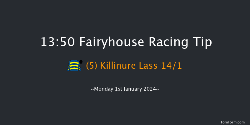 Fairyhouse 13:50 Handicap Hurdle 24f Sat 16th Dec 2023