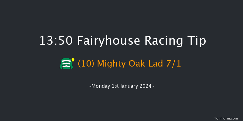 Fairyhouse 13:50 Handicap Hurdle 24f Sat 16th Dec 2023