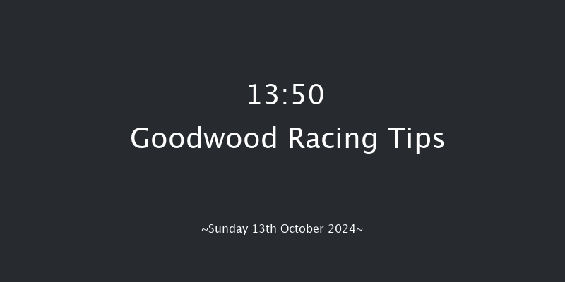 Goodwood  13:50 Handicap (Class 4) 16f Wed 25th Sep 2024