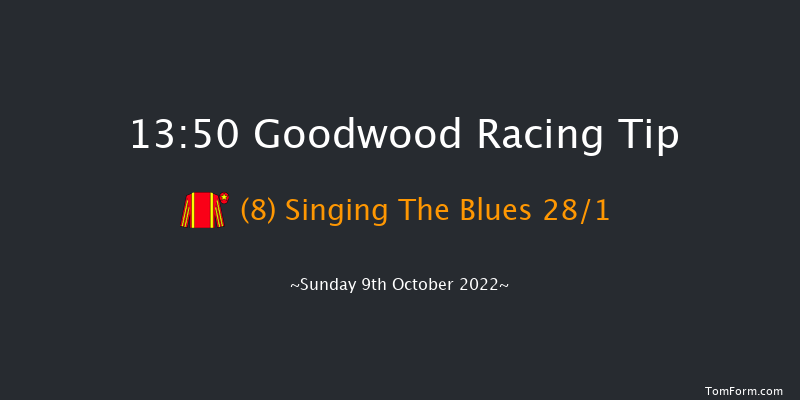 Goodwood 13:50 Handicap (Class 4) 16f Wed 21st Sep 2022