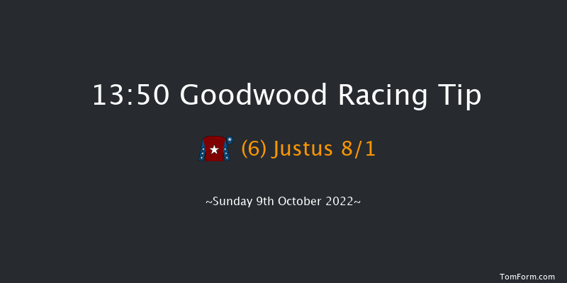 Goodwood 13:50 Handicap (Class 4) 16f Wed 21st Sep 2022