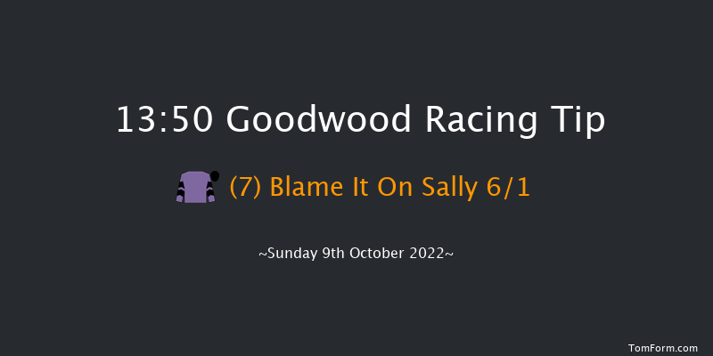 Goodwood 13:50 Handicap (Class 4) 16f Wed 21st Sep 2022