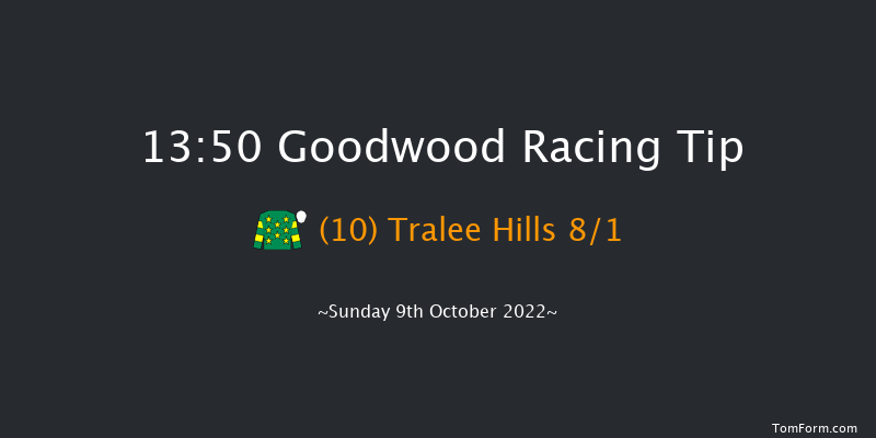 Goodwood 13:50 Handicap (Class 4) 16f Wed 21st Sep 2022