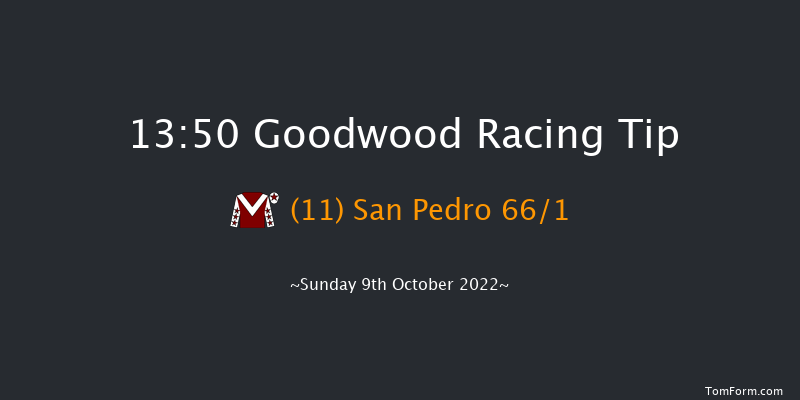 Goodwood 13:50 Handicap (Class 4) 16f Wed 21st Sep 2022