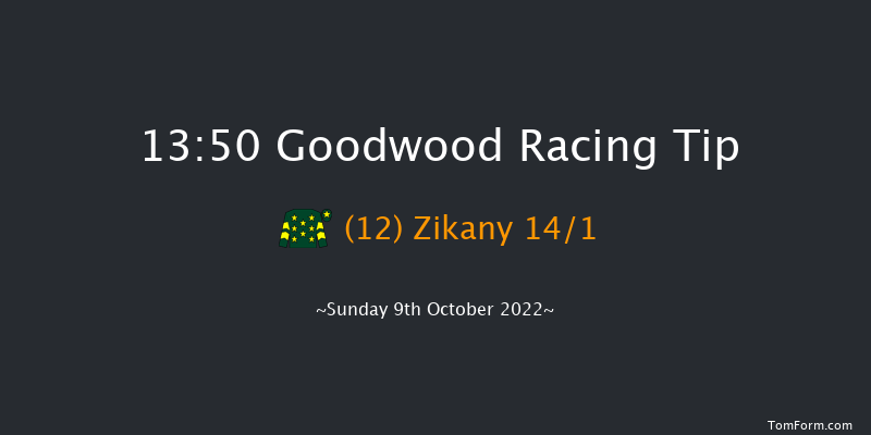 Goodwood 13:50 Handicap (Class 4) 16f Wed 21st Sep 2022