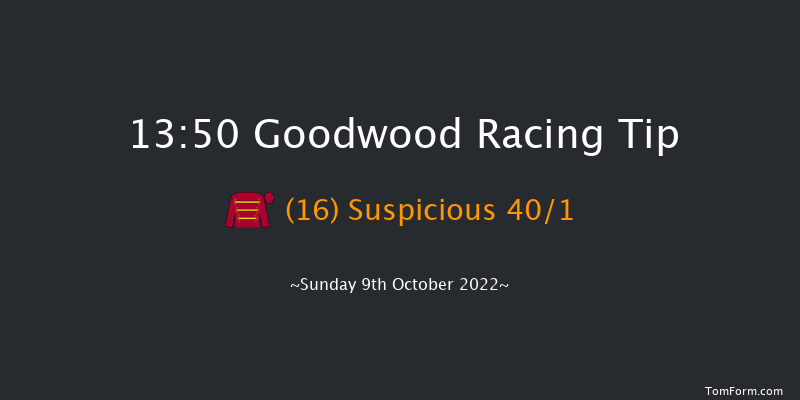 Goodwood 13:50 Handicap (Class 4) 16f Wed 21st Sep 2022