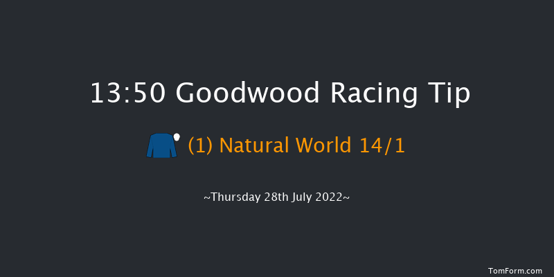 Goodwood 13:50 Handicap (Class 2) 10f Wed 27th Jul 2022