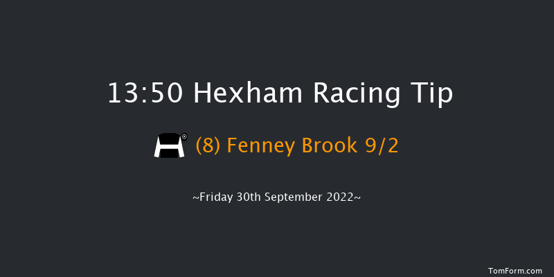 Hexham 13:50 Handicap Hurdle (Class 4) 20f Tue 6th Sep 2022