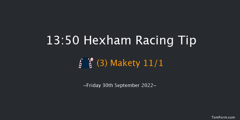 Hexham 13:50 Handicap Hurdle (Class 4) 20f Tue 6th Sep 2022