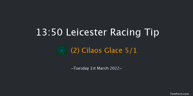 Leicester 13:50 Handicap Chase (Class 4) 20f Thu 17th Feb 2022