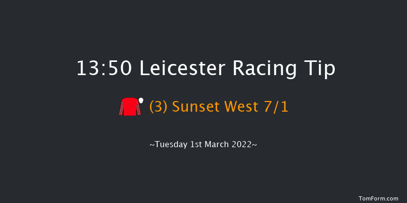 Leicester 13:50 Handicap Chase (Class 4) 20f Thu 17th Feb 2022