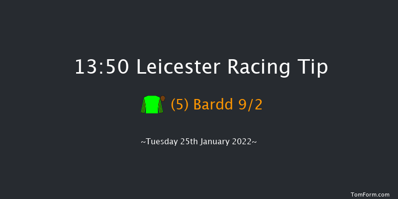 Leicester 13:50 Handicap Chase (Class 5) 20f Wed 12th Jan 2022