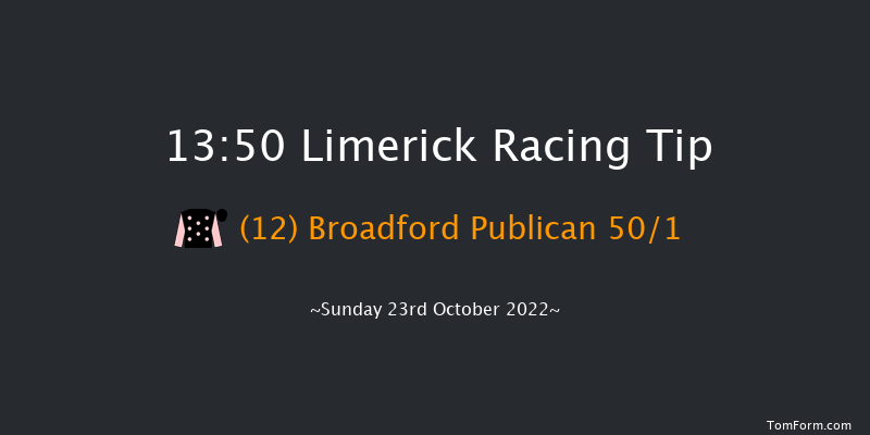 Limerick 13:50 Maiden Hurdle 16f Thu 21st Jul 2022