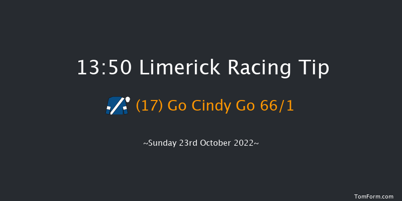 Limerick 13:50 Maiden Hurdle 16f Thu 21st Jul 2022