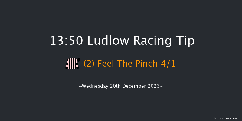 Ludlow 13:50 Handicap Chase (Class 2) 16f Wed 6th Dec 2023