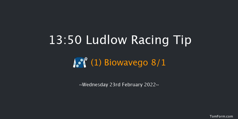 Ludlow 13:50 Maiden Hurdle (Class 4) 16f Wed 9th Feb 2022