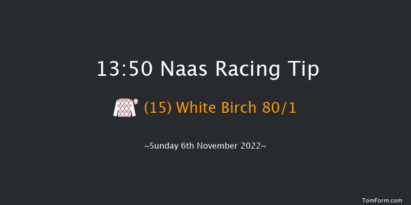 Naas 13:50 Maiden 8f Sun 16th Oct 2022