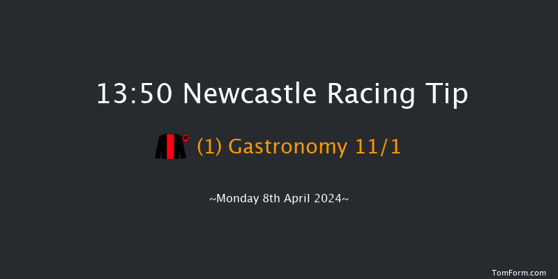 Newcastle  13:50 Handicap (Class 6) 12f Fri 29th Mar 2024