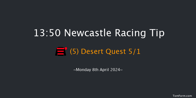 Newcastle  13:50 Handicap (Class 6) 12f Fri 29th Mar 2024