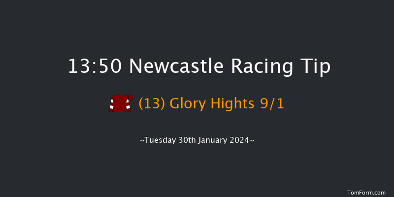 Newcastle  13:50 Handicap Hurdle (Class 5)
22f Sat 27th Jan 2024