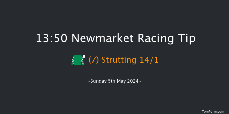 Newmarket  13:50 Listed (Class 1) 10f Sat 4th May 2024