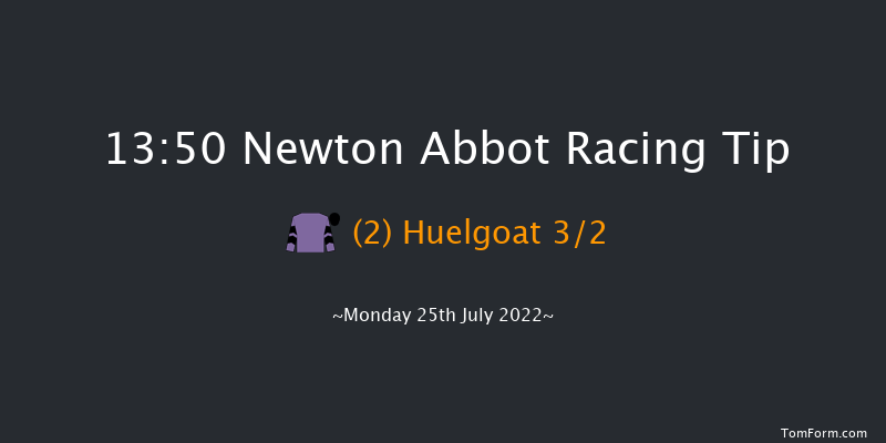 Newton Abbot 13:50 Maiden Hurdle (Class 4) 22f Sun 17th Jul 2022